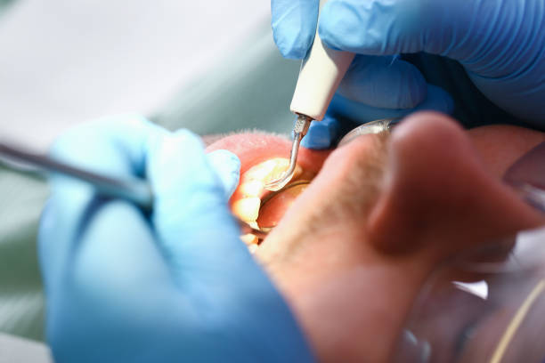  Cecil Bishop, PA Emergency Dentist Pros